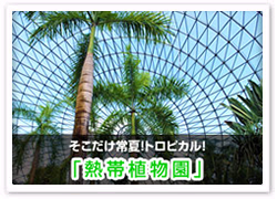 熱帯植物園